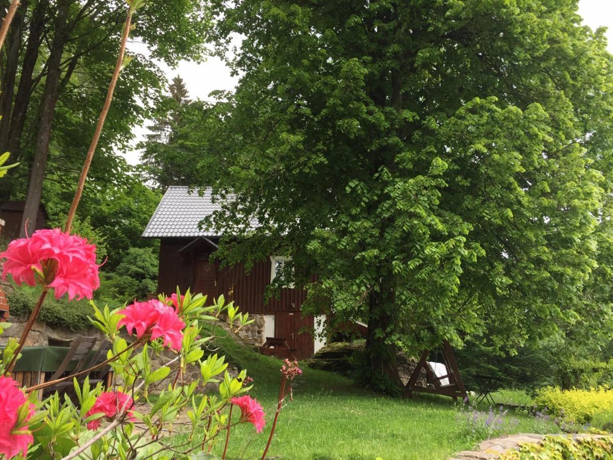 Pod Skalou Ii. Paseky nad Jizerou
