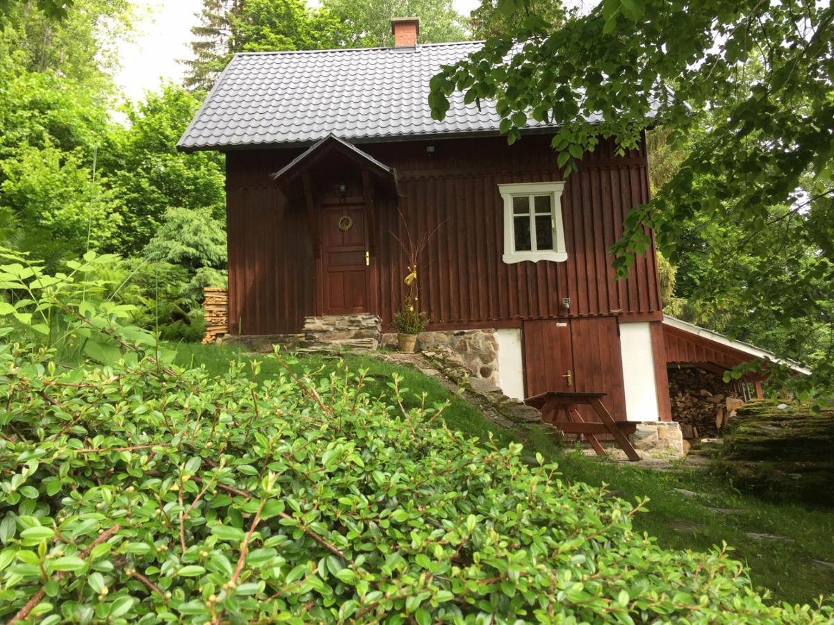 Pod Skalou Ii. Paseky nad Jizerou